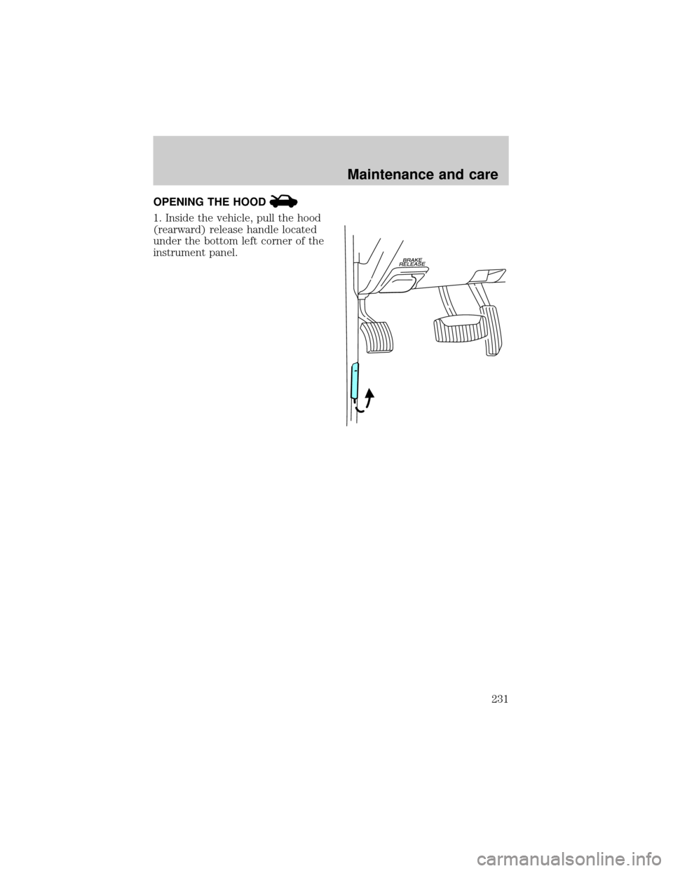FORD EXPLORER 2002 3.G Owners Manual OPENING THE HOOD
1. Inside the vehicle, pull the hood
(rearward) release handle located
under the bottom left corner of the
instrument panel.
Maintenance and care
231 