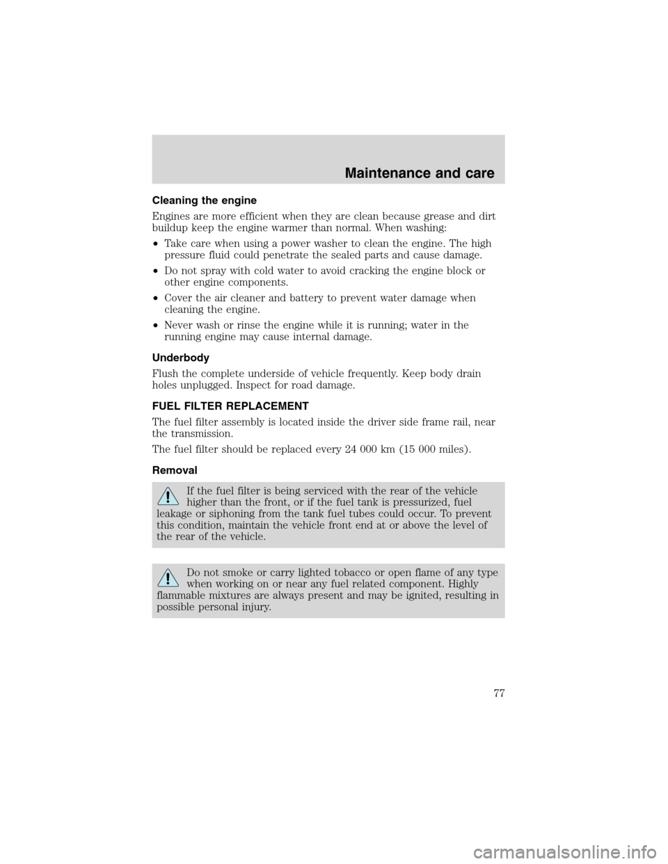 FORD F SERIES MOTORHOME AND COMMERCIAL CHASSIS 1999 10.G Manual PDF Cleaning the engine
Engines are more efficient when they are clean because grease and dirt
buildup keep the engine warmer than normal. When washing:
•Take care when using a power washer to clean the