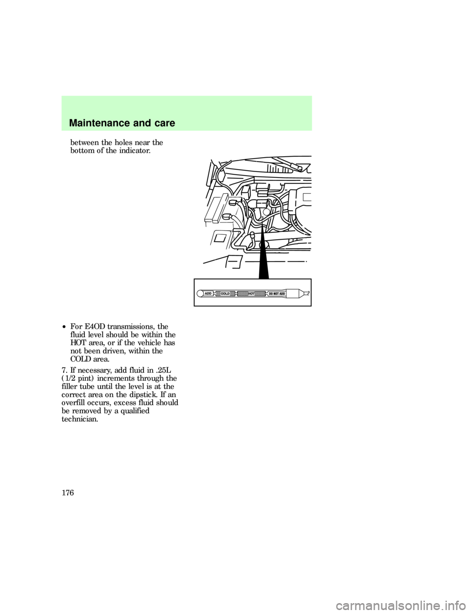 FORD F150 1997 10.G Owners Manual between the holes near the
bottom of the indicator.
²For E4OD transmissions, the
fluid level should be within the
HOT area, or if the vehicle has
not been driven, within the
COLD area.
7. If necessar