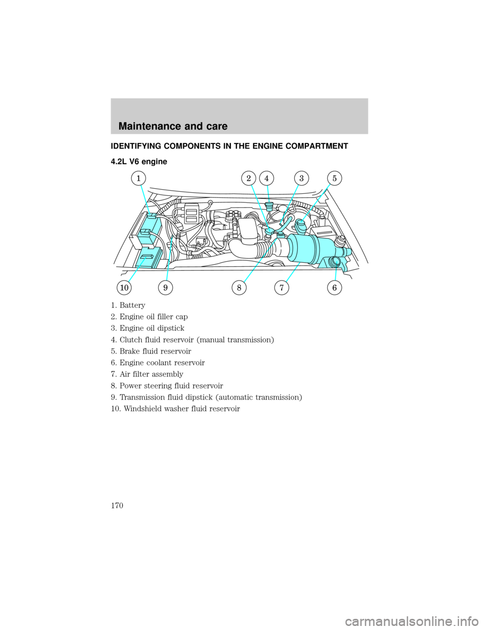 FORD F150 1999 10.G Owners Manual IDENTIFYING COMPONENTS IN THE ENGINE COMPARTMENT
4.2L V6 engine
1. Battery
2. Engine oil filler cap
3. Engine oil dipstick
4. Clutch fluid reservoir (manual transmission)
5. Brake fluid reservoir
6. E