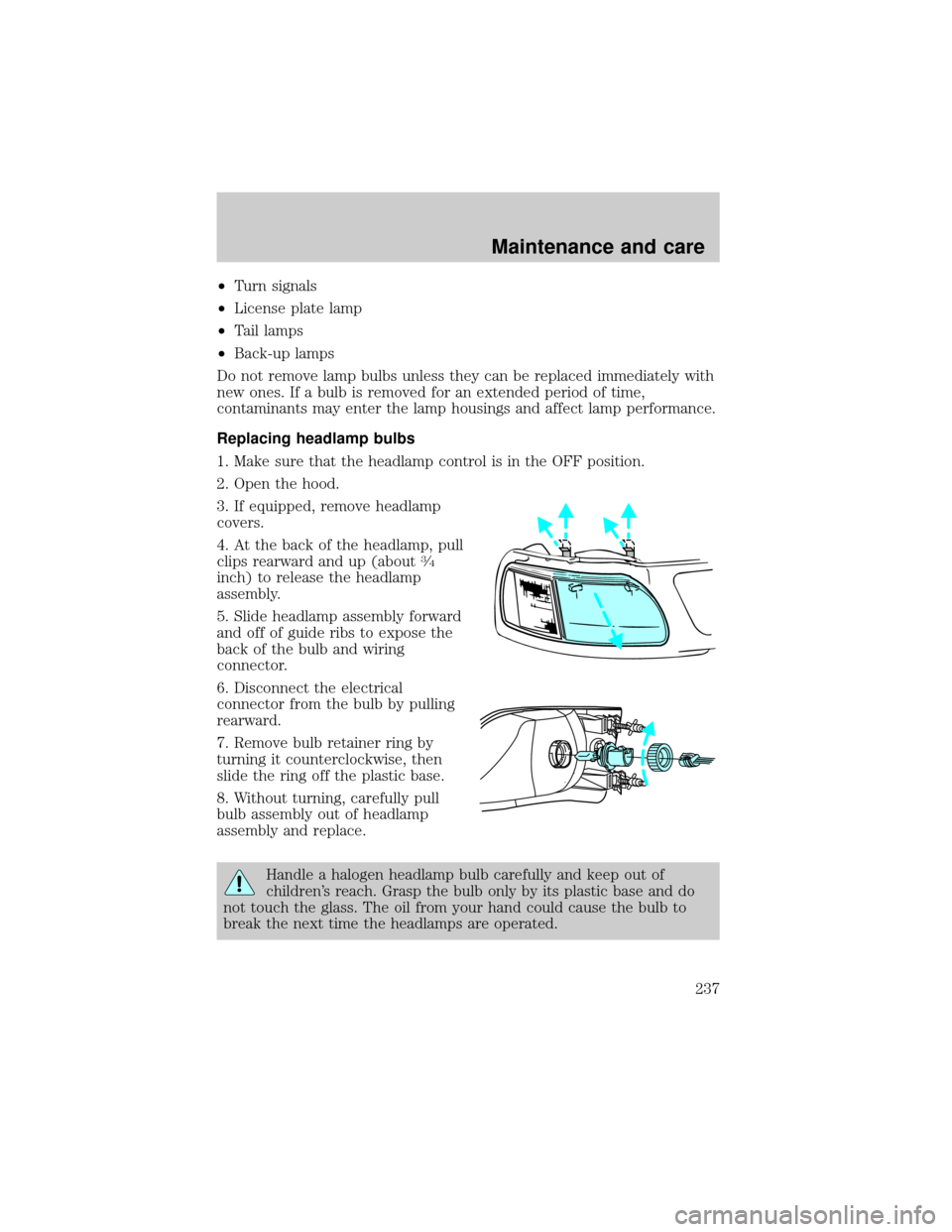 FORD F150 2000 10.G Owners Manual ²Turn signals
²License plate lamp
²Tail lamps
²Back-up lamps
Do not remove lamp bulbs unless they can be replaced immediately with
new ones. If a bulb is removed for an extended period of time,
co