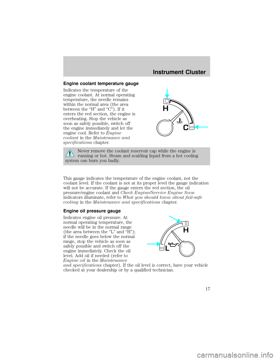 FORD F150 2002 10.G Owners Manual Engine coolant temperature gauge
Indicates the temperature of the
engine coolant. At normal operating
temperature, the needle remains
within the normal area (the area
between the ªHº and ªCº). If 