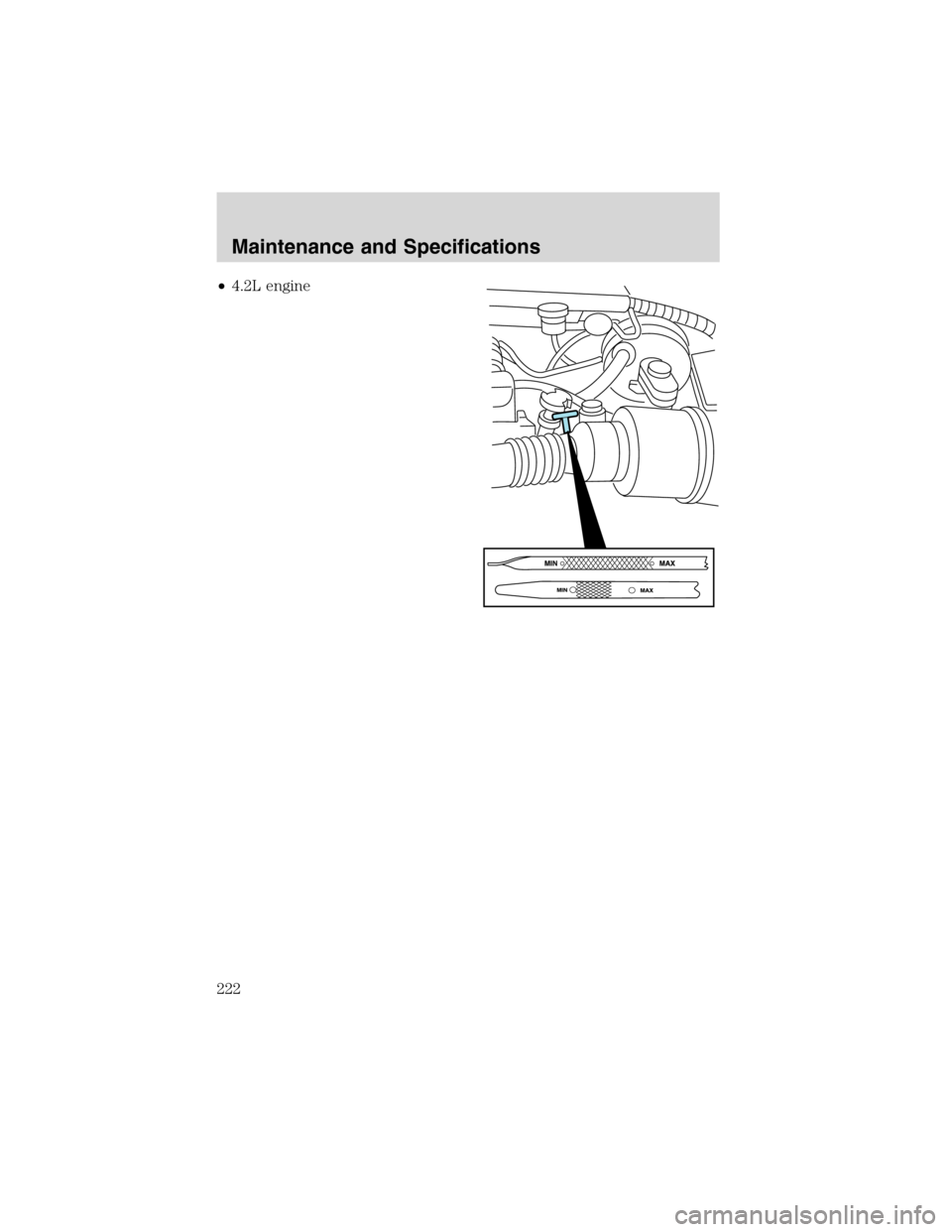 FORD F150 2003 10.G Owners Manual •4.2L engine
Maintenance and Specifications
222 