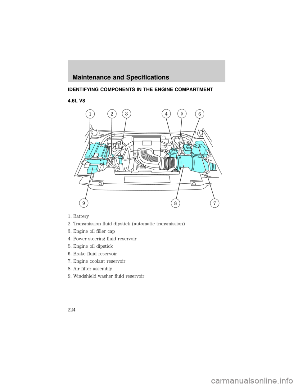 FORD F150 2004 11.G Owners Manual IDENTIFYING COMPONENTS IN THE ENGINE COMPARTMENT
4.6L V8
1. Battery
2. Transmission fluid dipstick (automatic transmission)
3. Engine oil filler cap
4. Power steering fluid reservoir
5. Engine oil dip