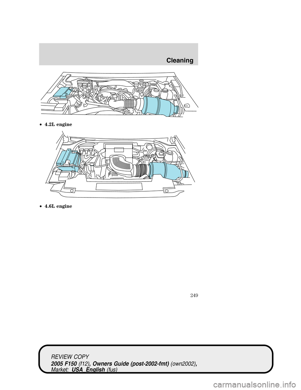 FORD F150 2005 11.G Owners Manual •4.2L engine
•4.6L engine
REVIEW COPY
2005 F150(f12), Owners Guide (post-2002-fmt)(own2002),
Market:USA_English(fus)
Cleaning
249 