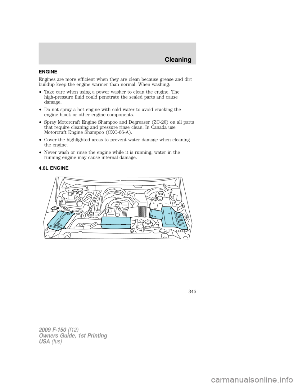 FORD F150 2009 12.G Owners Manual ENGINE
Engines are more efficient when they are clean because grease and dirt
buildup keep the engine warmer than normal. When washing:
•Take care when using a power washer to clean the engine. The
