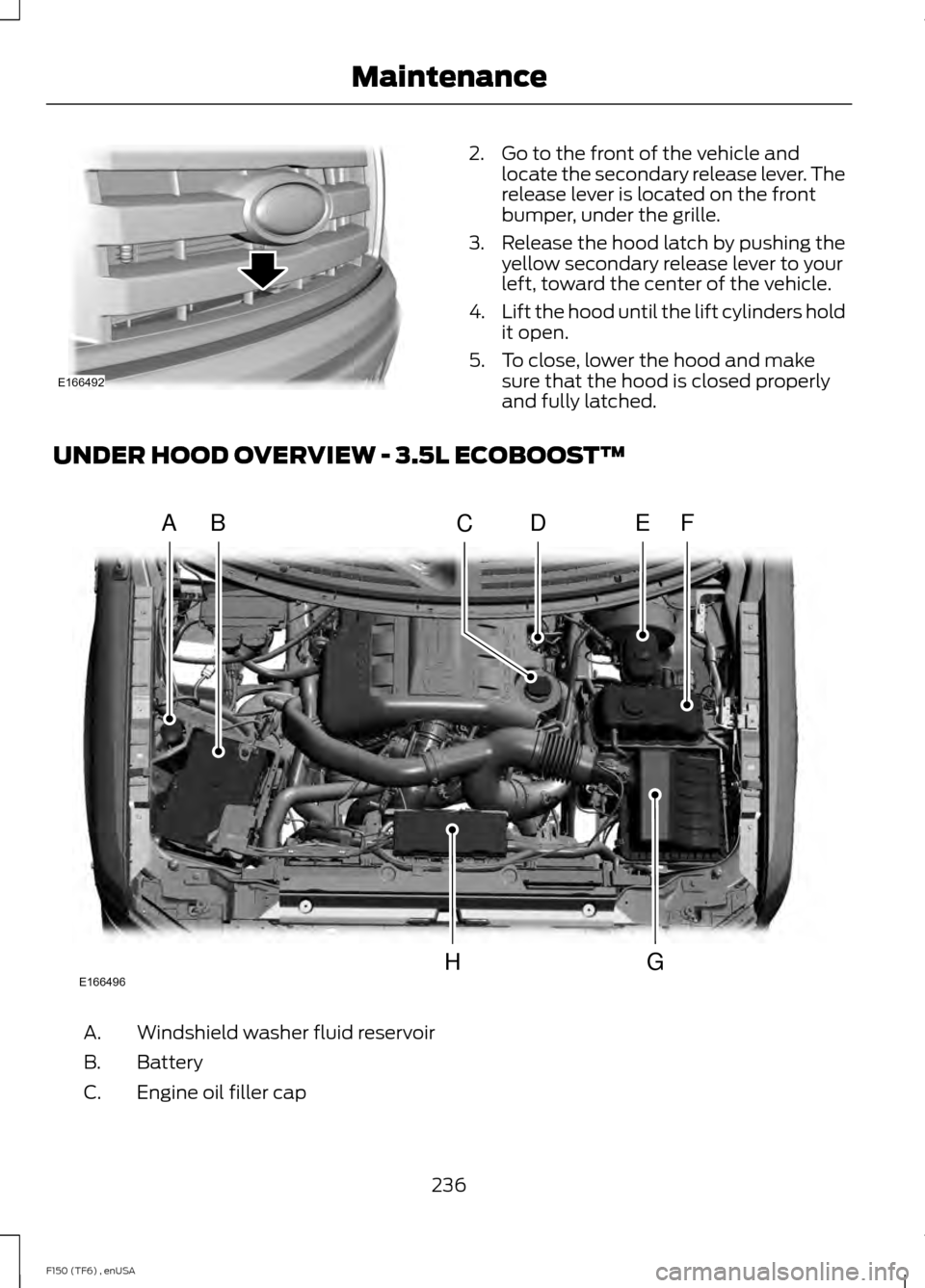 FORD F150 2014 12.G User Guide 2. Go to the front of the vehicle and
locate the secondary release lever. The
release lever is located on the front
bumper, under the grille.
3. Release the hood latch by pushing the yellow secondary 