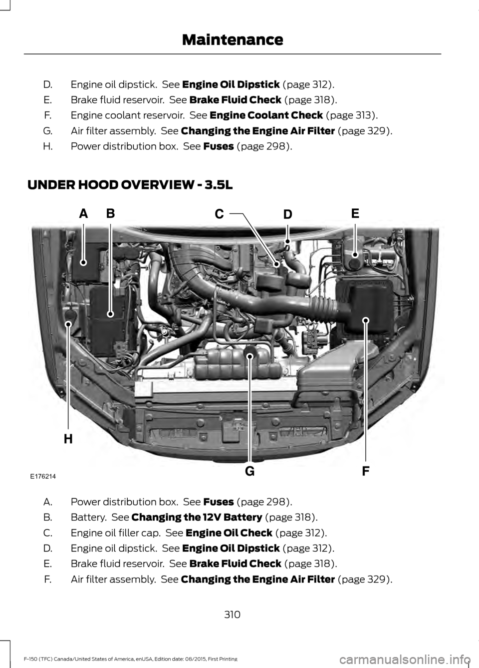 FORD F150 2016 13.G Owners Manual Engine oil dipstick.  See Engine Oil Dipstick (page 312).
D.
Brake fluid reservoir.  See 
Brake Fluid Check (page 318).
E.
Engine coolant reservoir.  See 
Engine Coolant Check (page 313).
F.
Air filte