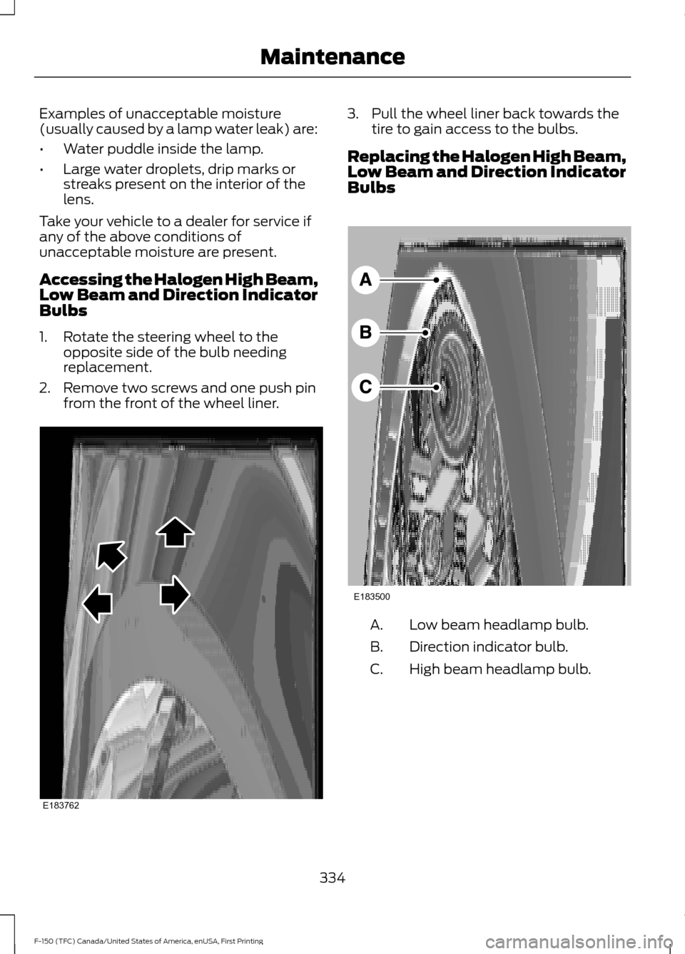 FORD F150 2017 13.G Owners Manual Examples of unacceptable moisture
(usually caused by a lamp water leak) are:
•
Water puddle inside the lamp.
• Large water droplets, drip marks or
streaks present on the interior of the
lens.
Take