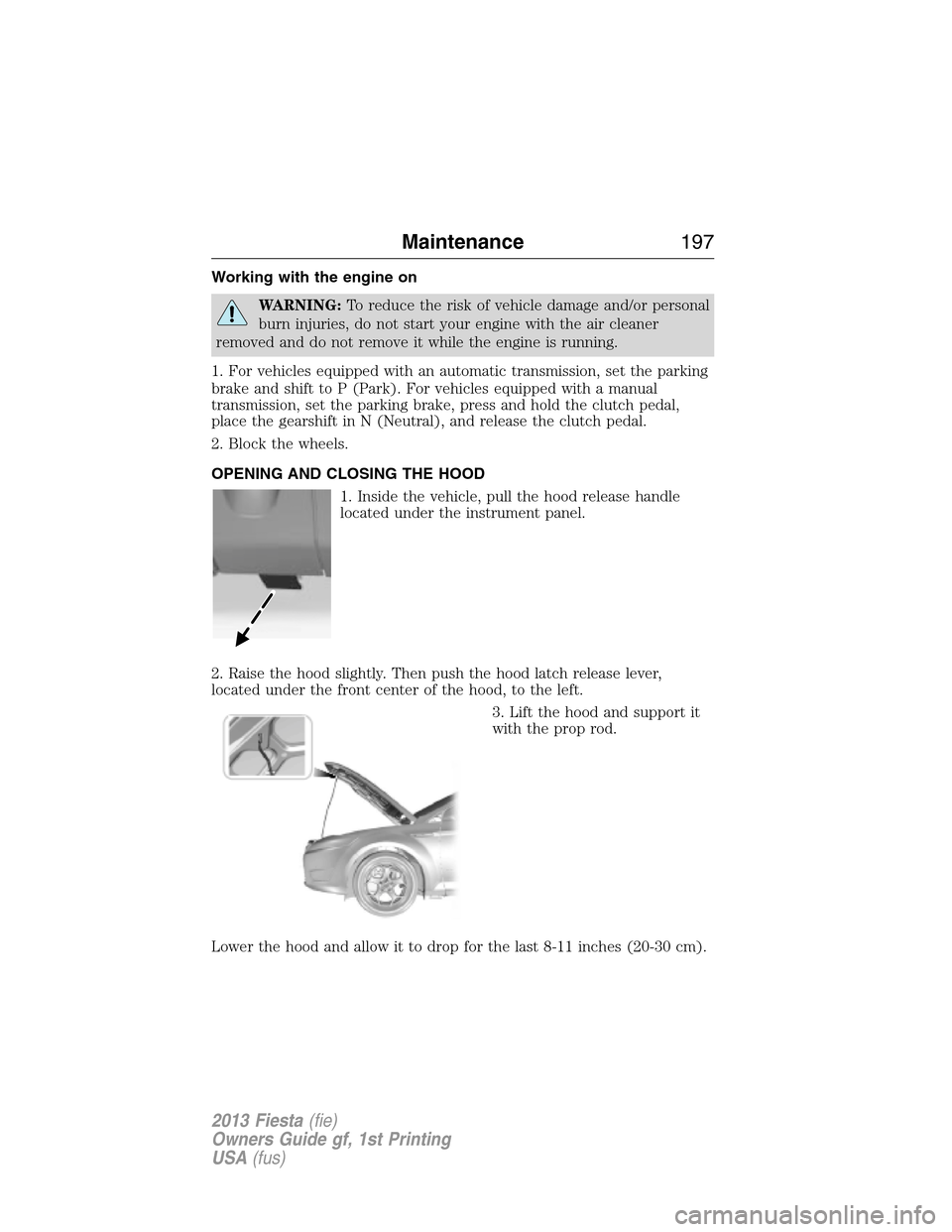 FORD FIESTA 2013 7.G Owners Manual Working with the engine on
WARNING:To reduce the risk of vehicle damage and/or personal
burn injuries, do not start your engine with the air cleaner
removed and do not remove it while the engine is ru