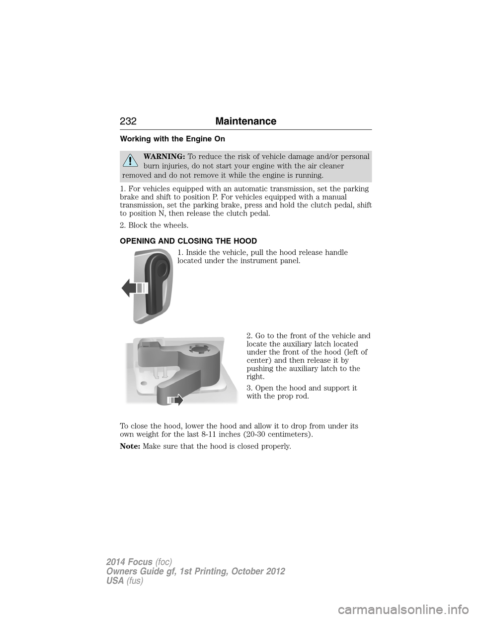 FORD FOCUS 2014 3.G Owners Manual Working with the Engine On
WARNING:To reduce the risk of vehicle damage and/or personal
burn injuries, do not start your engine with the air cleaner
removed and do not remove it while the engine is ru FORD FOCUS 2014 3.G Owners Manual Working with the Engine On
WARNING:To reduce the risk of vehicle damage and/or personal
burn injuries, do not start your engine with the air cleaner
removed and do not remove it while the engine is ru