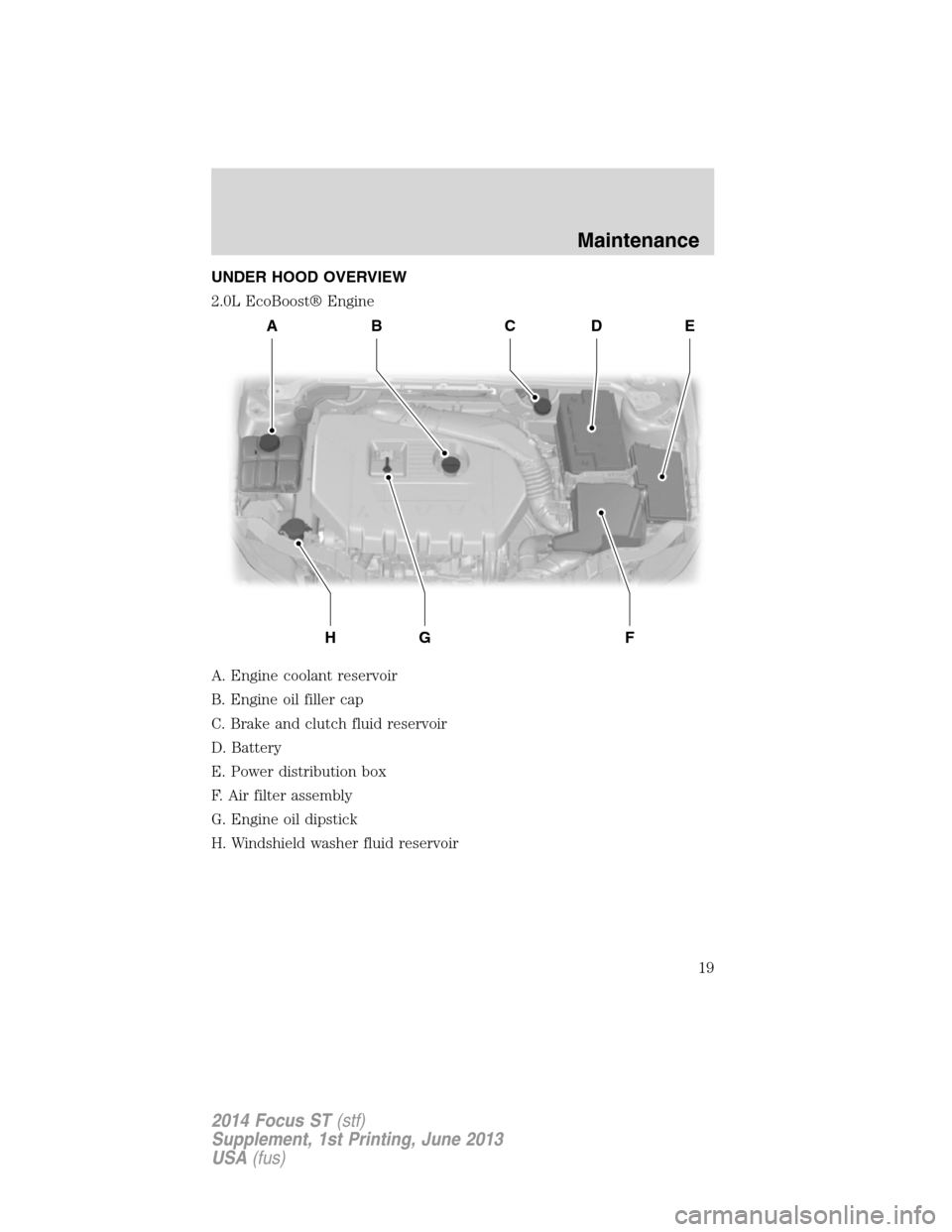 FORD FOCUS 2014 3.G ST Supplement Manual UNDER HOOD OVERVIEW
2.0L EcoBoost® Engine
A. Engine coolant reservoir
B. Engine oil filler cap
C. Brake and clutch fluid reservoir
D. Battery
E. Power distribution box
F. Air filter assembly
G. Engin