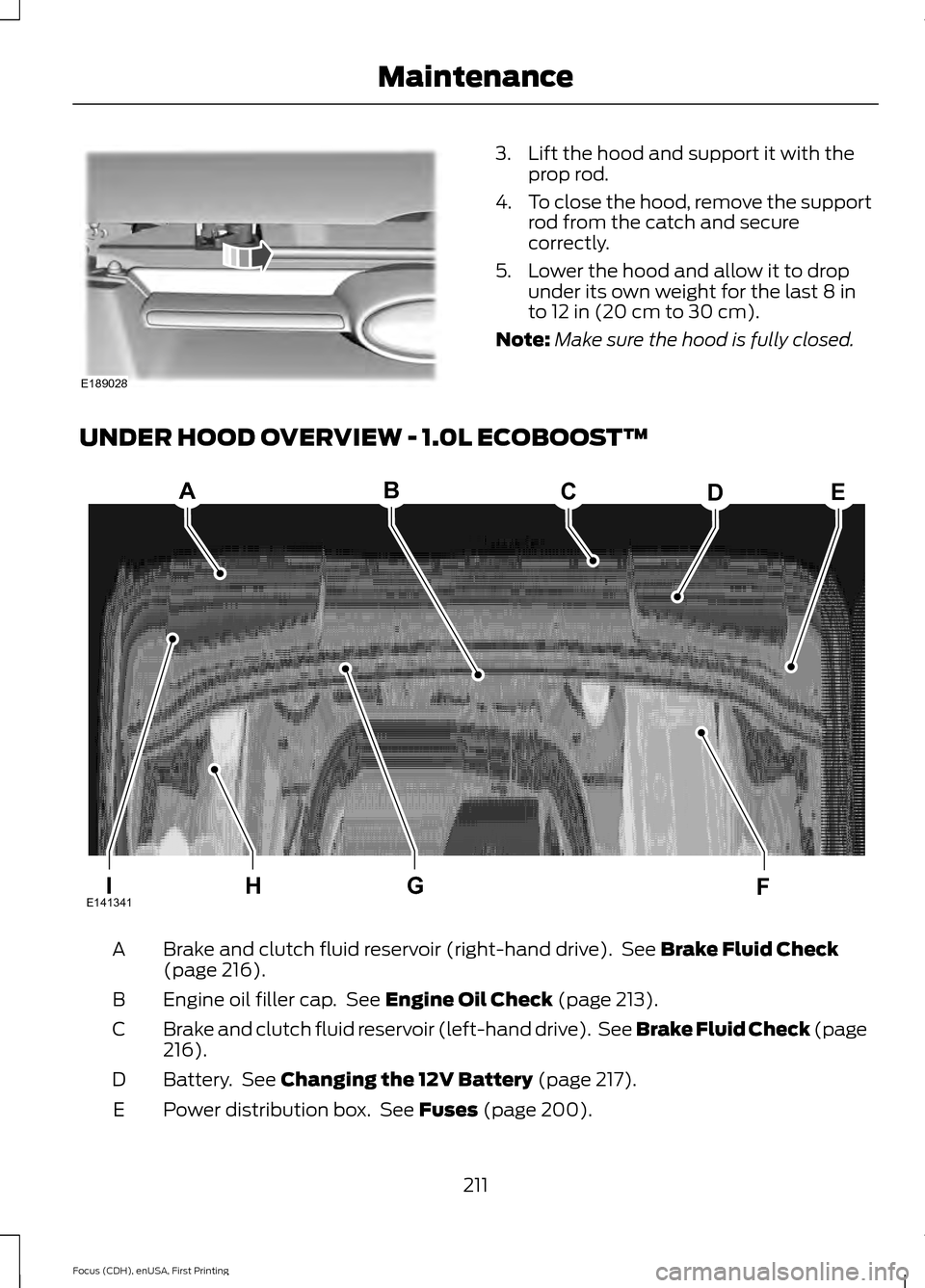 FORD FOCUS 2015 3.G Owners Manual 3. Lift the hood and support it with the
prop rod.
4. To close the hood, remove the support
rod from the catch and secure
correctly.
5. Lower the hood and allow it to drop under its own weight for the