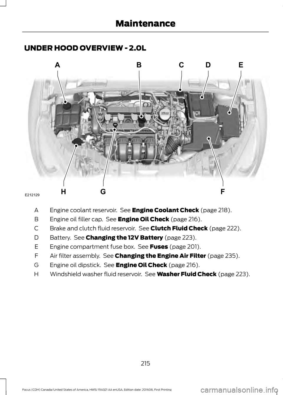 FORD FOCUS 2017 3.G Owners Manual UNDER HOOD OVERVIEW - 2.0L
Engine coolant reservoir.  See Engine Coolant Check (page 218).
A
Engine oil filler cap.  See 
Engine Oil Check (page 216).
B
Brake and clutch fluid reservoir.  See 
Clutch 