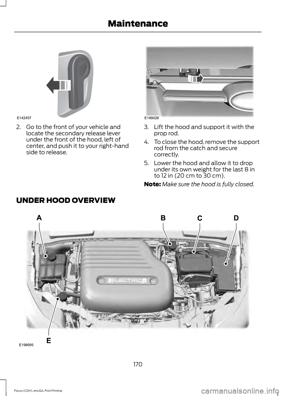 FORD FOCUS ELECTRIC 2015 3.G Owners Manual 2. Go to the front of your vehicle and
locate the secondary release lever
under the front of the hood, left of
center, and push it to your right-hand
side to release. 3. Lift the hood and support it w FORD FOCUS ELECTRIC 2015 3.G Owners Manual 2. Go to the front of your vehicle and
locate the secondary release lever
under the front of the hood, left of
center, and push it to your right-hand
side to release. 3. Lift the hood and support it w