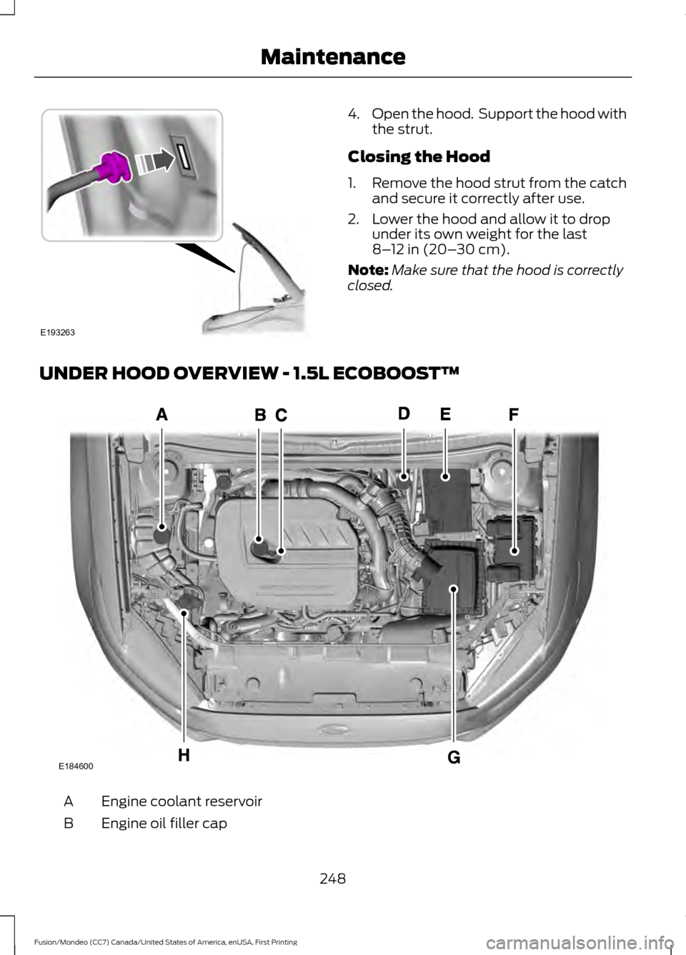FORD FUSION (AMERICAS) 2016 2.G Owners Manual 4.
Open the hood.  Support the hood with
the strut.
Closing the Hood
1. Remove the hood strut from the catch
and secure it correctly after use.
2. Lower the hood and allow it to drop under its own wei
