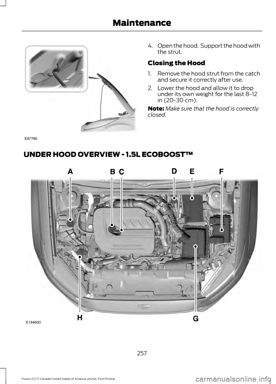 FORD FUSION (AMERICAS) 2017 2.G Owners Manual 4.
Open the hood.  Support the hood with
the strut.
Closing the Hood
1. Remove the hood strut from the catch
and secure it correctly after use.
2. Lower the hood and allow it to drop under its own wei