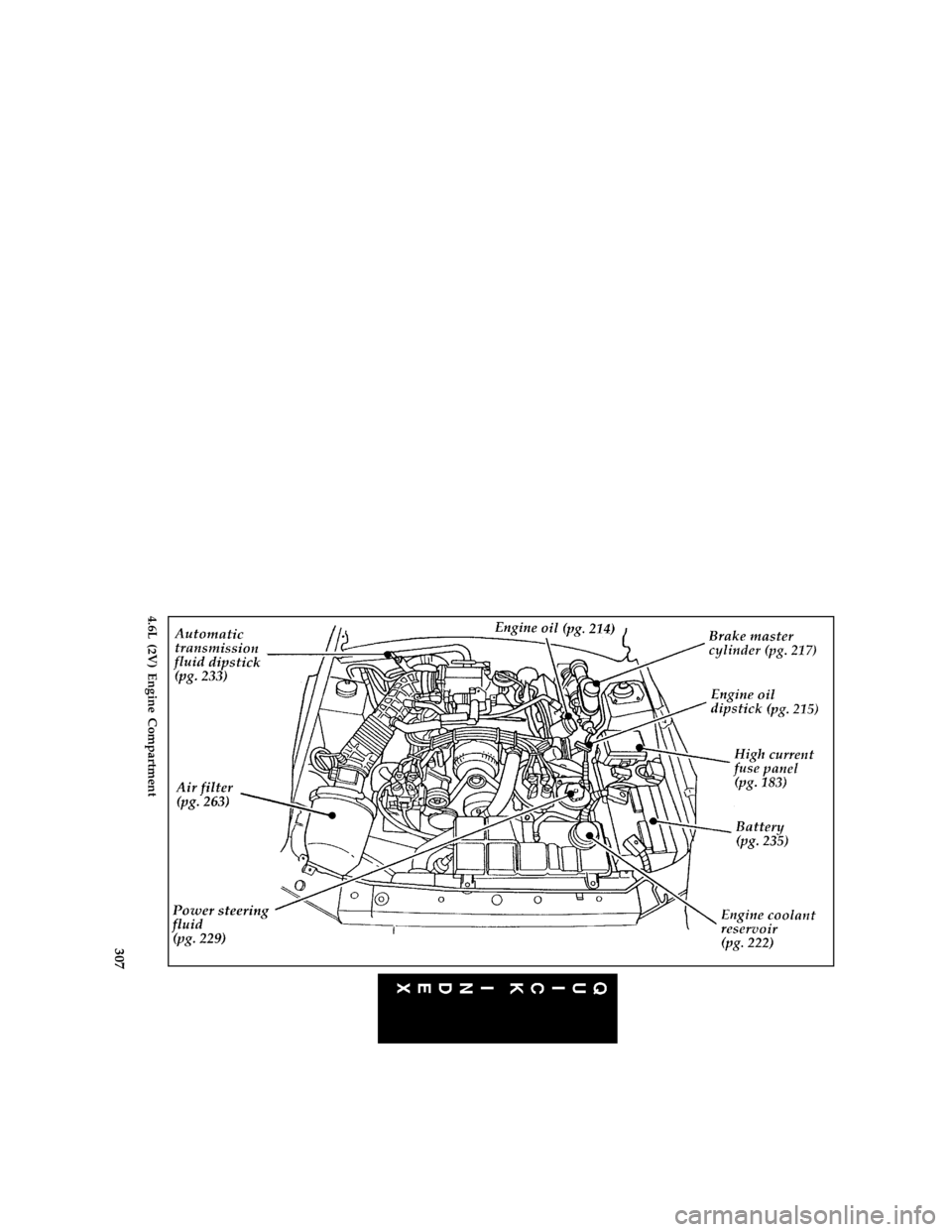 FORD MUSTANG 1997 4.G Owners Manual 307 [QI01300(M )04/96]
full page art:0011348-B
4.6L (2V) Engine Compartment
File:16rcqim.ex
Update:Thu Apr  3 07:51:37 1997 