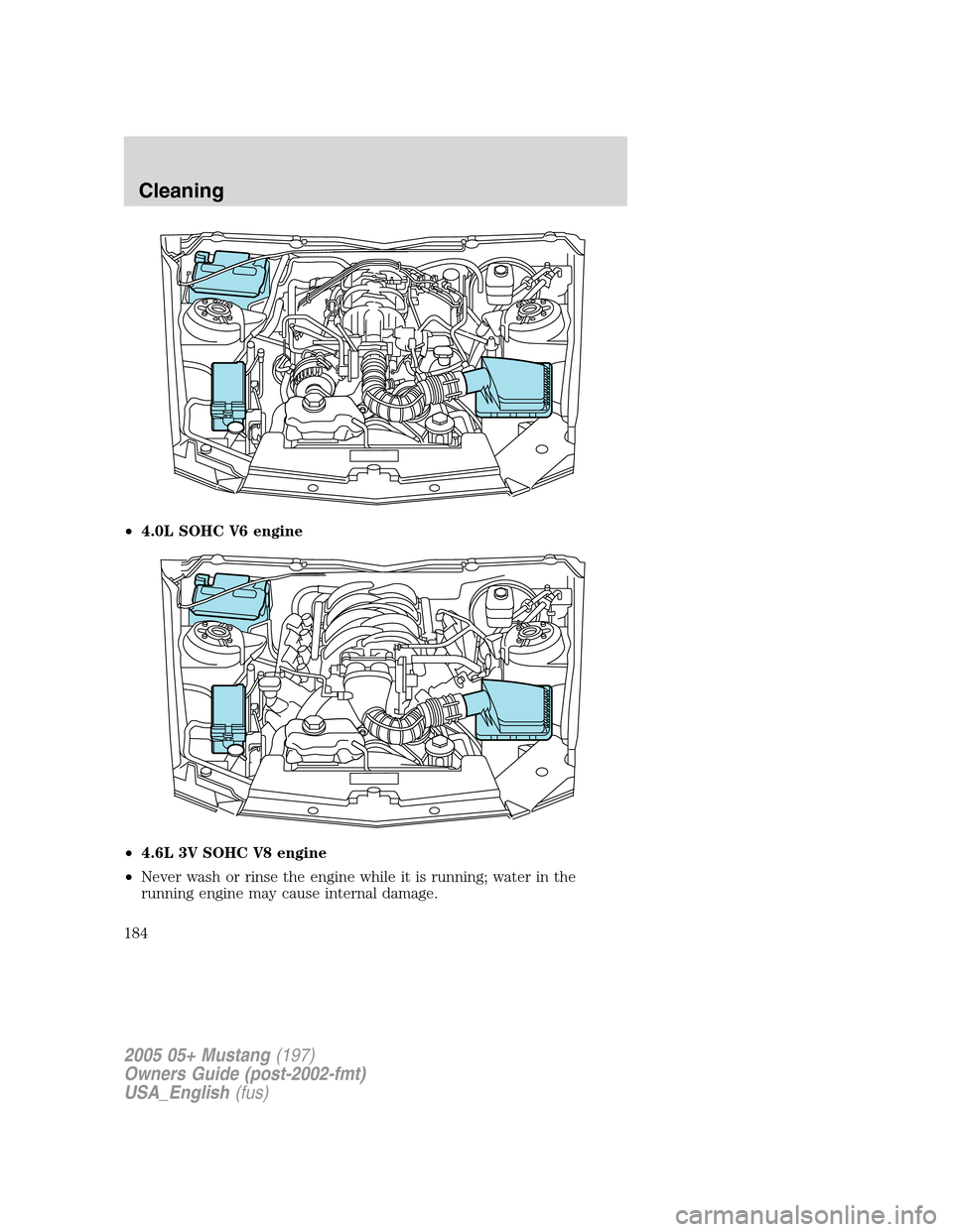 FORD MUSTANG 2005 5.G Owners Manual •4.0L SOHC V6 engine
•4.6L 3V SOHC V8 engine
•Never wash or rinse the engine while it is running; water in the
running engine may cause internal damage.
2005 05+ Mustang(197)
Owners Guide (post- FORD MUSTANG 2005 5.G Owners Manual •4.0L SOHC V6 engine
•4.6L 3V SOHC V8 engine
•Never wash or rinse the engine while it is running; water in the
running engine may cause internal damage.
2005 05+ Mustang(197)
Owners Guide (post-