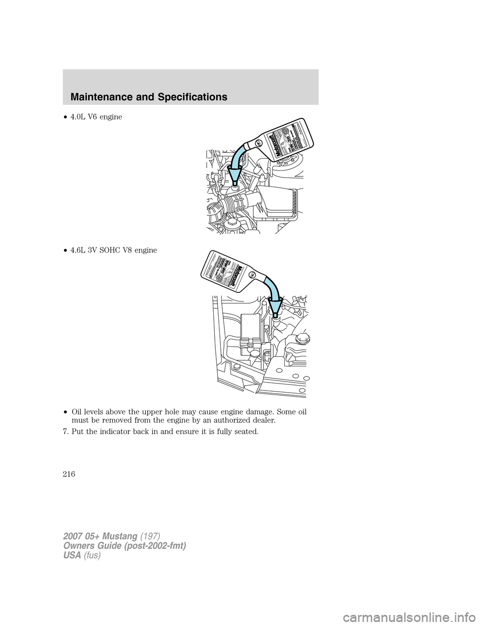 FORD MUSTANG 2007 5.G Owners Manual •4.0L V6 engine
•4.6L 3V SOHC V8 engine
•Oil levels above the upper hole may cause engine damage. Some oil
must be removed from the engine by an authorized dealer.
7. Put the indicator back in a FORD MUSTANG 2007 5.G Owners Manual •4.0L V6 engine
•4.6L 3V SOHC V8 engine
•Oil levels above the upper hole may cause engine damage. Some oil
must be removed from the engine by an authorized dealer.
7. Put the indicator back in a