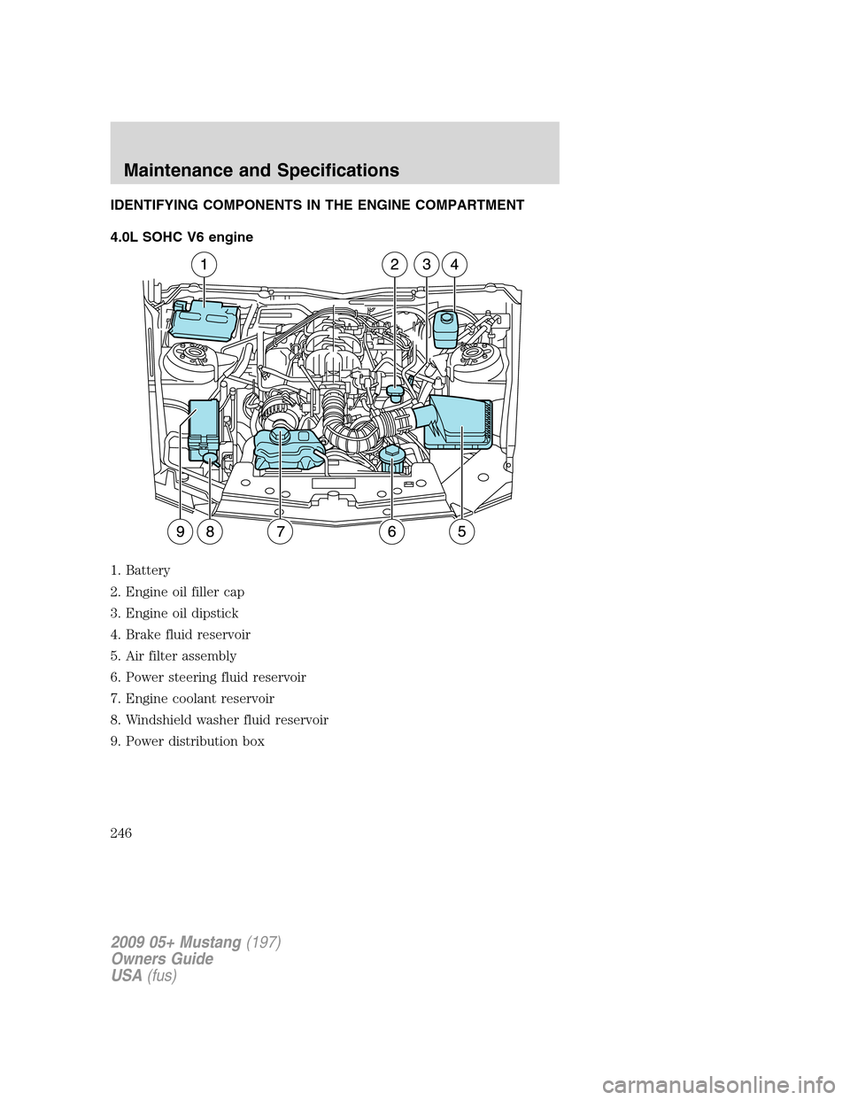 FORD MUSTANG 2009 5.G Owners Manual IDENTIFYING COMPONENTS IN THE ENGINE COMPARTMENT
4.0L SOHC V6 engine
1. Battery
2. Engine oil filler cap
3. Engine oil dipstick
4. Brake fluid reservoir
5. Air filter assembly
6. Power steering fluid FORD MUSTANG 2009 5.G Owners Manual IDENTIFYING COMPONENTS IN THE ENGINE COMPARTMENT
4.0L SOHC V6 engine
1. Battery
2. Engine oil filler cap
3. Engine oil dipstick
4. Brake fluid reservoir
5. Air filter assembly
6. Power steering fluid