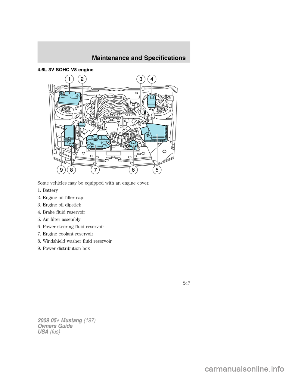 FORD MUSTANG 2009 5.G Owners Manual 4.6L 3V SOHC V8 engine
Some vehicles may be equipped with an engine cover.
1. Battery
2. Engine oil filler cap
3. Engine oil dipstick
4. Brake fluid reservoir
5. Air filter assembly
6. Power steering FORD MUSTANG 2009 5.G Owners Manual 4.6L 3V SOHC V8 engine
Some vehicles may be equipped with an engine cover.
1. Battery
2. Engine oil filler cap
3. Engine oil dipstick
4. Brake fluid reservoir
5. Air filter assembly
6. Power steering