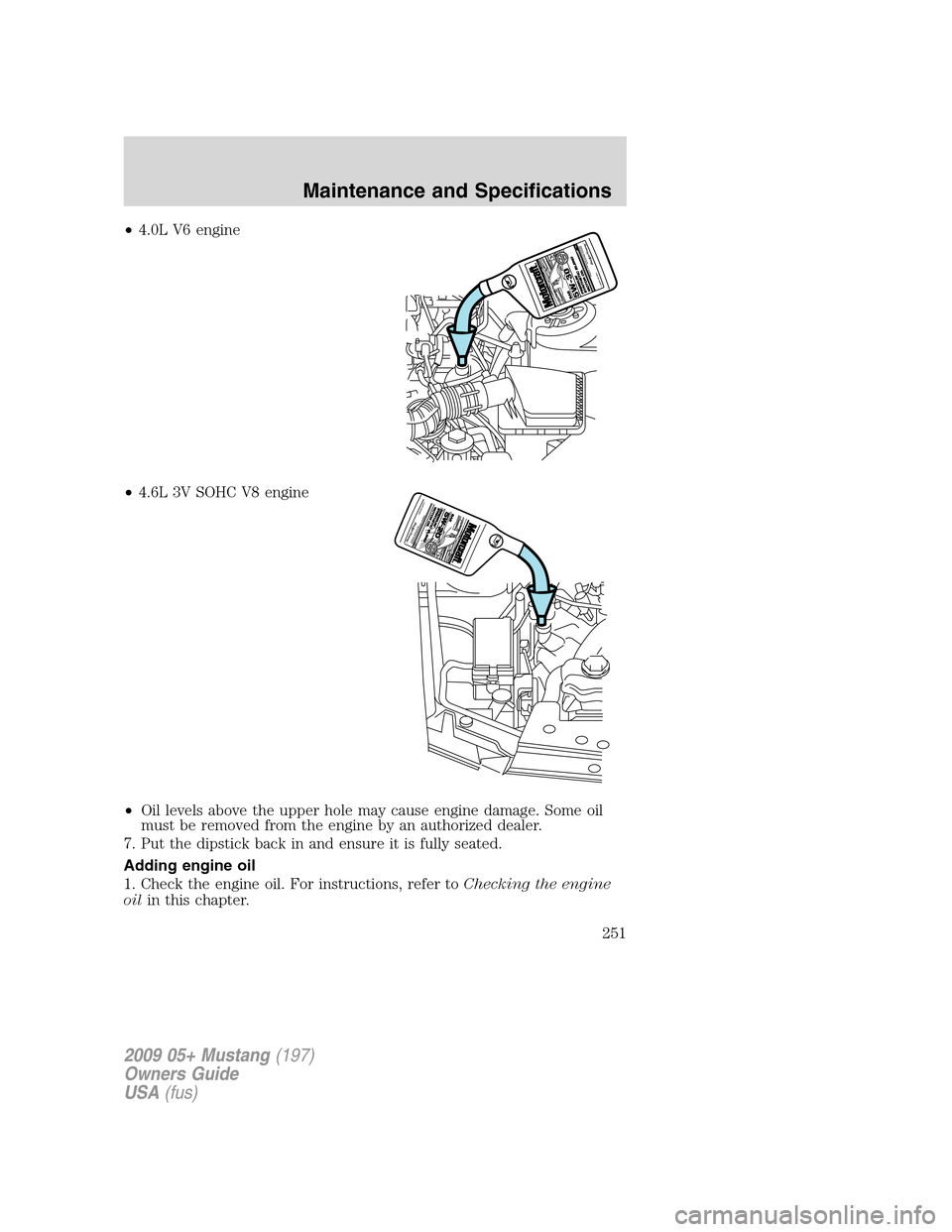 FORD MUSTANG 2009 5.G Owners Manual •4.0L V6 engine
•4.6L 3V SOHC V8 engine
•Oil levels above the upper hole may cause engine damage. Some oil
must be removed from the engine by an authorized dealer.
7. Put the dipstick back in an FORD MUSTANG 2009 5.G Owners Manual •4.0L V6 engine
•4.6L 3V SOHC V8 engine
•Oil levels above the upper hole may cause engine damage. Some oil
must be removed from the engine by an authorized dealer.
7. Put the dipstick back in an
