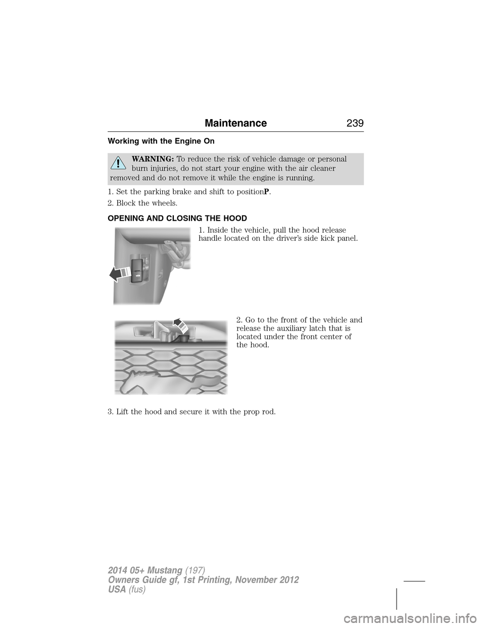FORD MUSTANG 2014 5.G Owners Manual Working with the Engine On
WARNING:To reduce the risk of vehicle damage or personal
burn injuries, do not start your engine with the air cleaner
removed and do not remove it while the engine is runnin