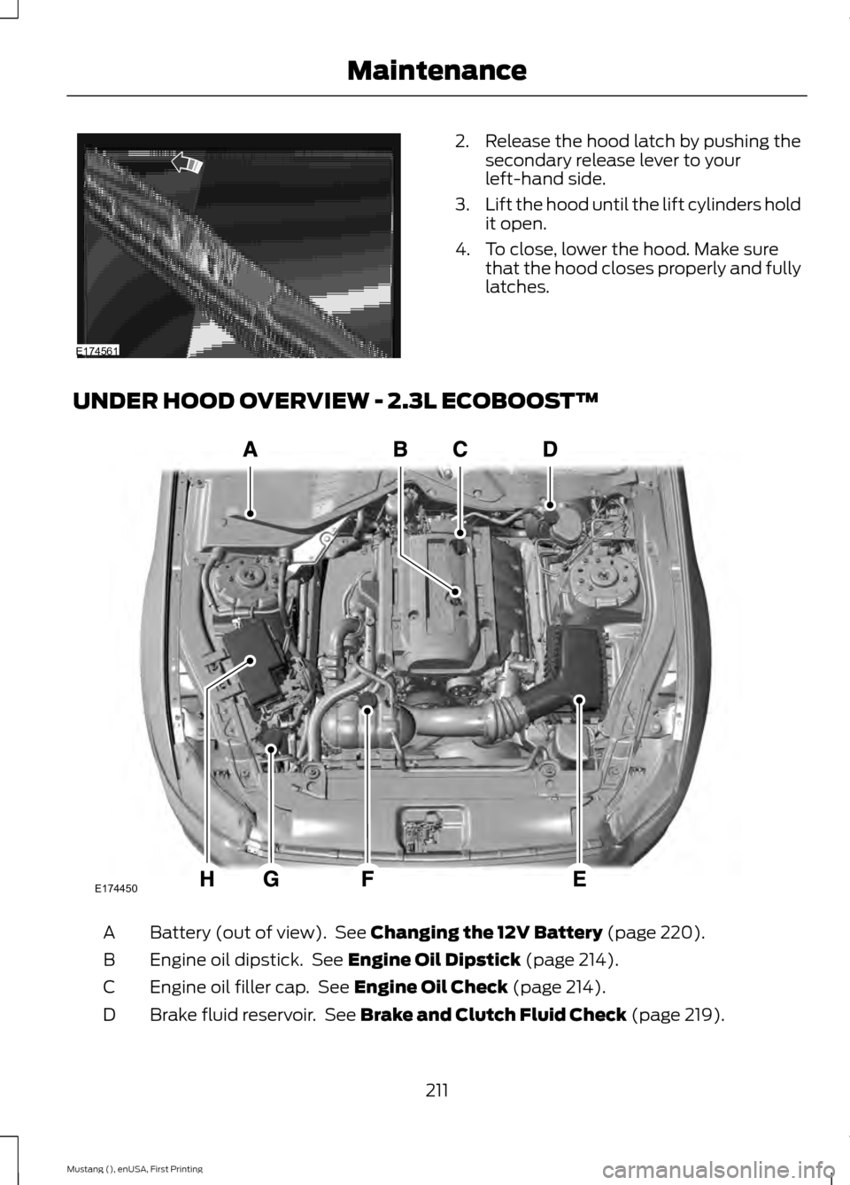 FORD MUSTANG 2015 6.G Owners Manual 2. Release the hood latch by pushing the
secondary release lever to your
left-hand side.
3. Lift the hood until the lift cylinders hold
it open.
4. To close, lower the hood. Make sure that the hood cl