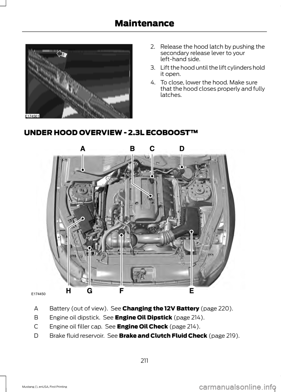 FORD MUSTANG 2015 6.G Owners Manual 2. Release the hood latch by pushing the
secondary release lever to your
left-hand side.
3. Lift the hood until the lift cylinders hold
it open.
4. To close, lower the hood. Make sure that the hood cl FORD MUSTANG 2015 6.G Owners Manual 2. Release the hood latch by pushing the
secondary release lever to your
left-hand side.
3. Lift the hood until the lift cylinders hold
it open.
4. To close, lower the hood. Make sure that the hood cl
