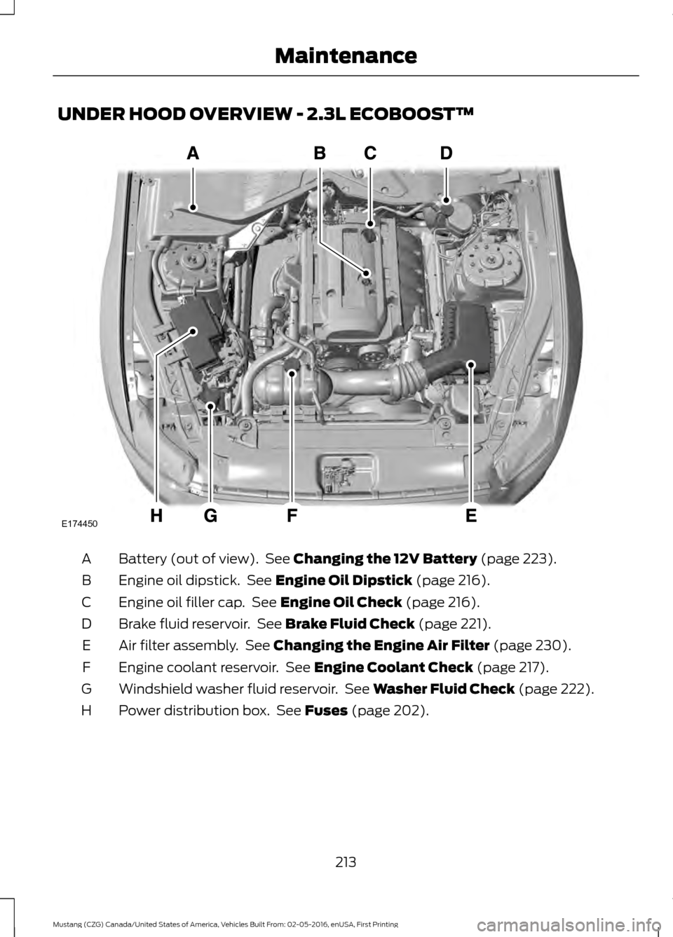 FORD MUSTANG 2017 6.G Owners Manual UNDER HOOD OVERVIEW - 2.3L ECOBOOST™
Battery (out of view).  See Changing the 12V Battery (page 223).
A
Engine oil dipstick.  See 
Engine Oil Dipstick (page 216).
B
Engine oil filler cap.  See 
Engi