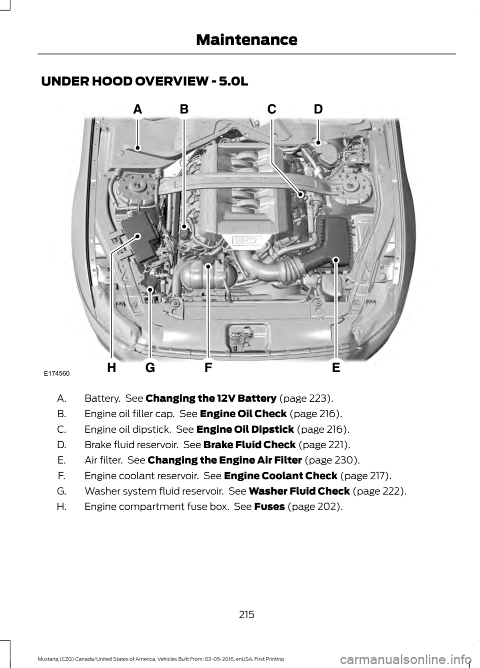 FORD MUSTANG 2017 6.G Owners Manual UNDER HOOD OVERVIEW - 5.0L
Battery.  See Changing the 12V Battery (page 223).
A.
Engine oil filler cap.  See 
Engine Oil Check (page 216).
B.
Engine oil dipstick.  See 
Engine Oil Dipstick (page 216).