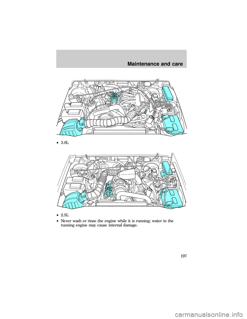FORD RANGER 1999 2.G Repair Manual ²3.0L
²2.5L
²Never wash or rinse the engine while it is running; water in the
running engine may cause internal damage.
Maintenance and care
197 