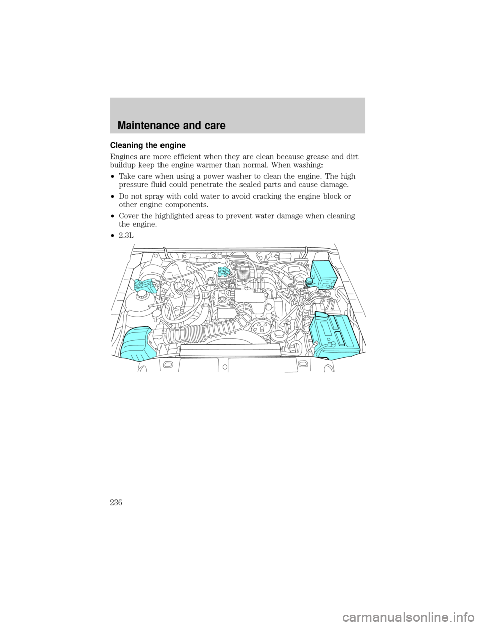 FORD RANGER 2001 2.G Owners Manual Cleaning the engine
Engines are more efficient when they are clean because grease and dirt
buildup keep the engine warmer than normal. When washing:
²Take care when using a power washer to clean the 