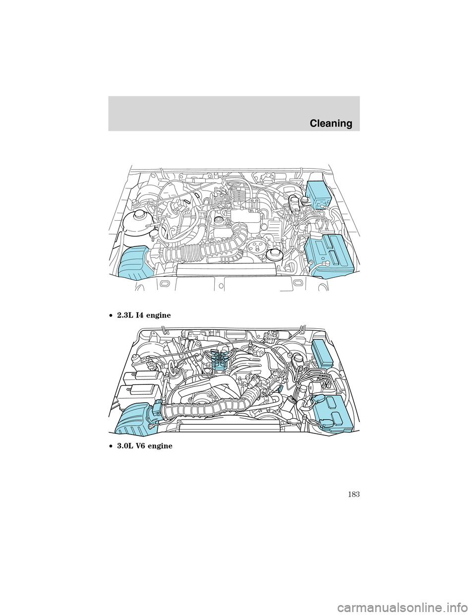 FORD RANGER 2003 2.G Workshop Manual •2.3L I4 engine
•3.0L V6 engine
Cleaning
183 