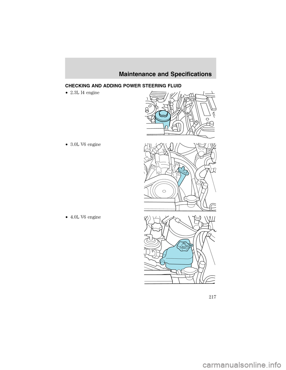 FORD RANGER 2003 2.G Manual Online CHECKING AND ADDING POWER STEERING FLUID
•2.3L I4 engine
•3.0L V6 engine
•4.0L V6 engine
DONOTOVERFILLPOWERSTEERINGFLUID
Maintenance and Specifications
217 