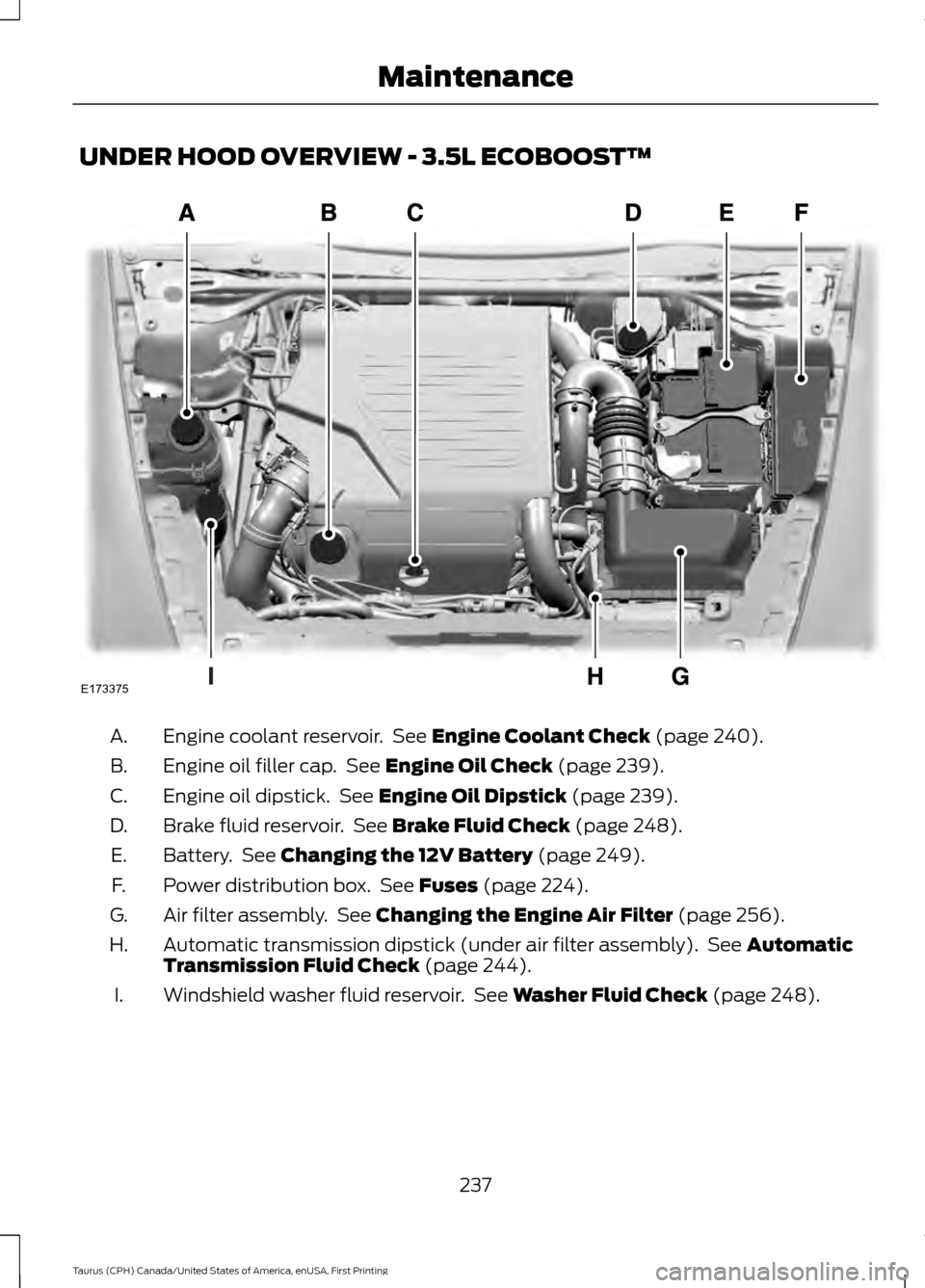 FORD TAURUS 2016 6.G Owners Manual UNDER HOOD OVERVIEW - 3.5L ECOBOOST™
Engine coolant reservoir.  See Engine Coolant Check (page 240).
A.
Engine oil filler cap.  See 
Engine Oil Check (page 239).
B.
Engine oil dipstick.  See 
Engine