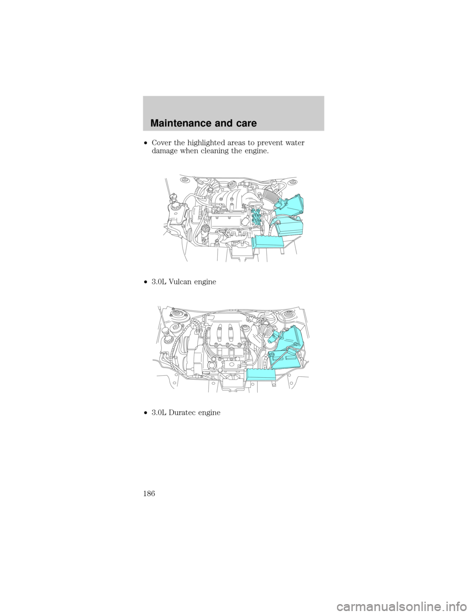 FORD TAURUS 1999 3.G Owners Manual ²Cover the highlighted areas to prevent water
damage when cleaning the engine.
²3.0L Vulcan engine
²3.0L Duratec engine
Maintenance and care
186 FORD TAURUS 1999 3.G Owners Manual ²Cover the highlighted areas to prevent water
damage when cleaning the engine.
²3.0L Vulcan engine
²3.0L Duratec engine
Maintenance and care
186