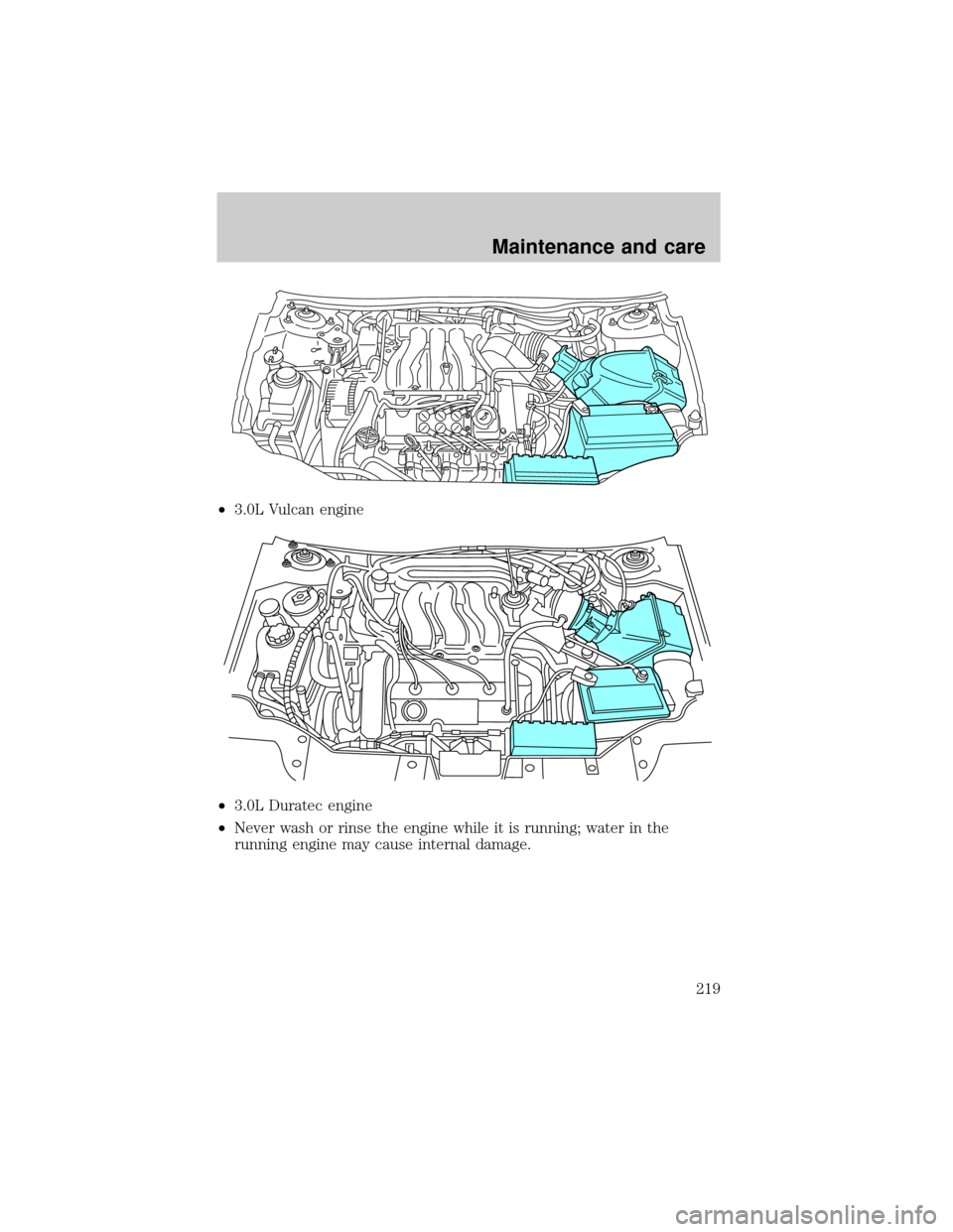 FORD TAURUS 2001 4.G Owners Manual ²3.0L Vulcan engine
²3.0L Duratec engine
²Never wash or rinse the engine while it is running; water in the
running engine may cause internal damage.
Maintenance and care
219 