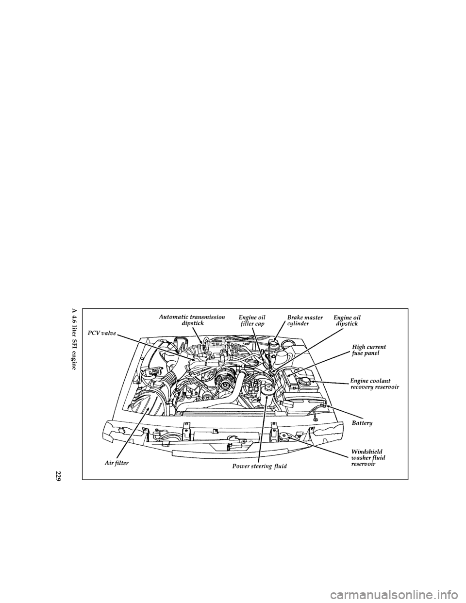 FORD THUNDERBIRD 1996 10.G Owners Manual 229 [SV05750( BC )05/95]
full page art:0010665-G
A 4.6 liter SFI engine
File:rcsvb.ex
Update:Mon Feb 19 10:46:54 1996 