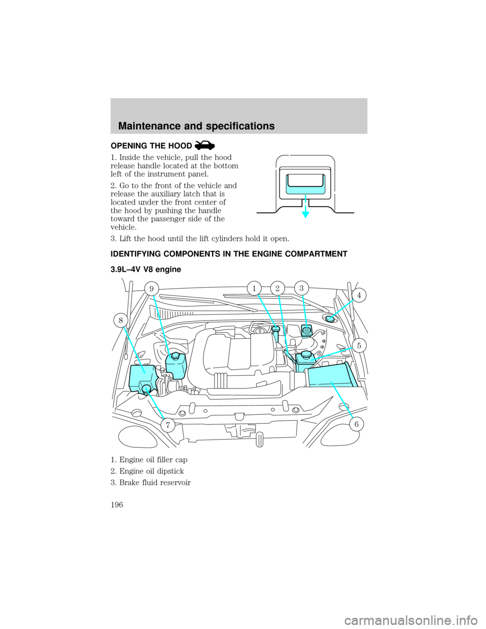 FORD THUNDERBIRD 2002 11.G Owners Manual OPENING THE HOOD
1. Inside the vehicle, pull the hood
release handle located at the bottom
left of the instrument panel.
2. Go to the front of the vehicle and
release the auxiliary latch that is
locat FORD THUNDERBIRD 2002 11.G Owners Manual OPENING THE HOOD
1. Inside the vehicle, pull the hood
release handle located at the bottom
left of the instrument panel.
2. Go to the front of the vehicle and
release the auxiliary latch that is
locat