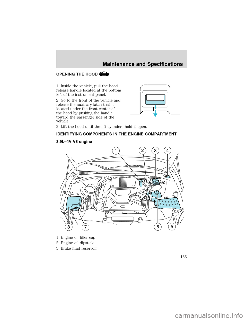 FORD THUNDERBIRD 2003 11.G Owners Manual OPENING THE HOOD
1. Inside the vehicle, pull the hood
release handle located at the bottom
left of the instrument panel.
2. Go to the front of the vehicle and
release the auxiliary latch that is
locat FORD THUNDERBIRD 2003 11.G Owners Manual OPENING THE HOOD
1. Inside the vehicle, pull the hood
release handle located at the bottom
left of the instrument panel.
2. Go to the front of the vehicle and
release the auxiliary latch that is
locat