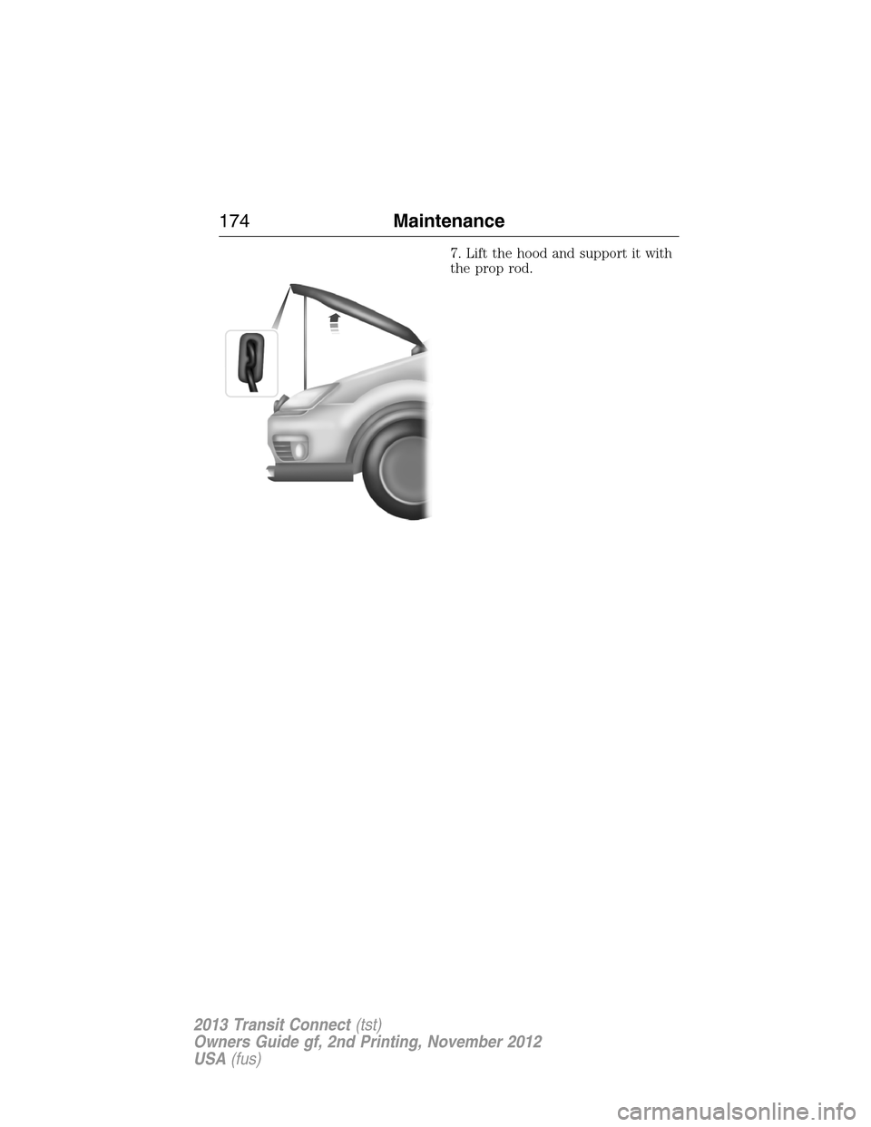FORD TRANSIT CONNECT 2013 1.G Owners Manual 7. Lift the hood and support it with
the prop rod.
174Maintenance
2013 Transit Connect(tst)
Owners Guide gf, 2nd Printing, November 2012
USA(fus) 