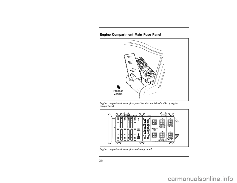 FORD WINDSTAR 1997 1.G Owners Manual 256
%*
[ER04100(ALL)01/96]
Engine Compartment Main Fuse Panel
[ER04200(ALL)01/96]
17-1/2 pica
art:0050039-B
Engine compartment main fuse panel located on drivers side of engine
compartment
[ER04300(A
