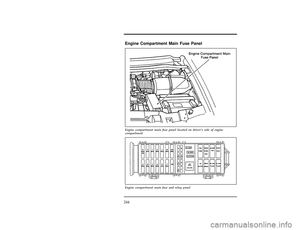 FORD WINDSTAR 1998 1.G Owners Manual 244
%*
[ER04100(ALL)01/96]
Engine Compartment Main Fuse Panel
[ER04200(ALL)01/96]
17-1/2 pica
art:0050039-C
Engine compartment main fuse panel located on drivers side of engine
compartment
[ER04300(A