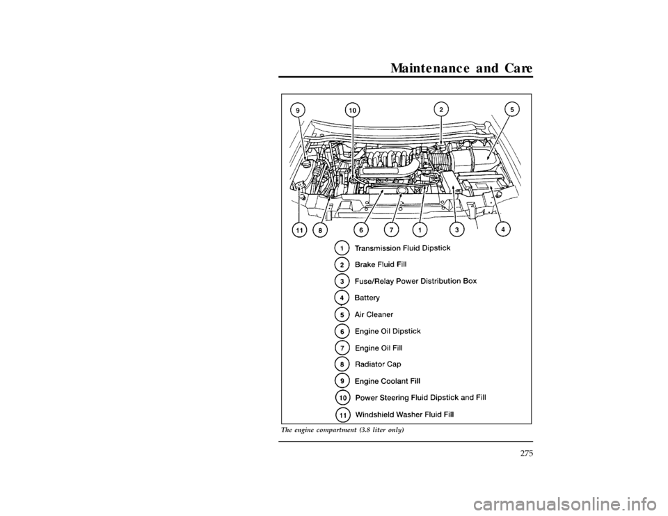 FORD WINDSTAR 1998 1.G Owners Manual Maintenance and Care
275
[MC03900(ALL)01/96]
33-1/2 pica
art:0050038-C
The engine compartment (3.8 liter only)
File:11wnmcs.ex
Update:Tue Oct  8 10:24:50 1996 
