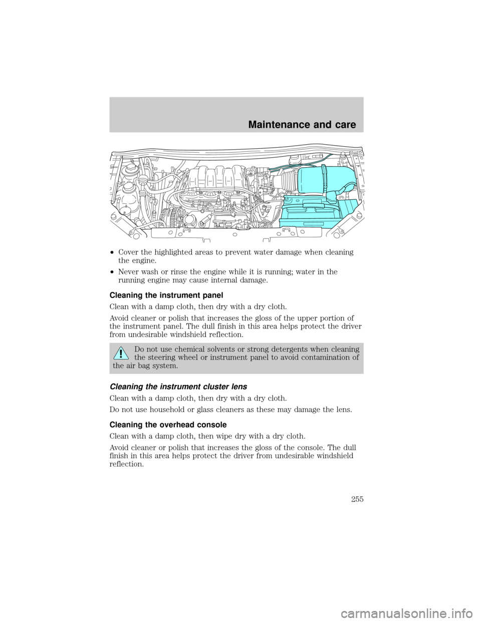 FORD WINDSTAR 2001 2.G Owners Manual ²Cover the highlighted areas to prevent water damage when cleaning
the engine.
²Never wash or rinse the engine while it is running; water in the
running engine may cause internal damage.
Cleaning th