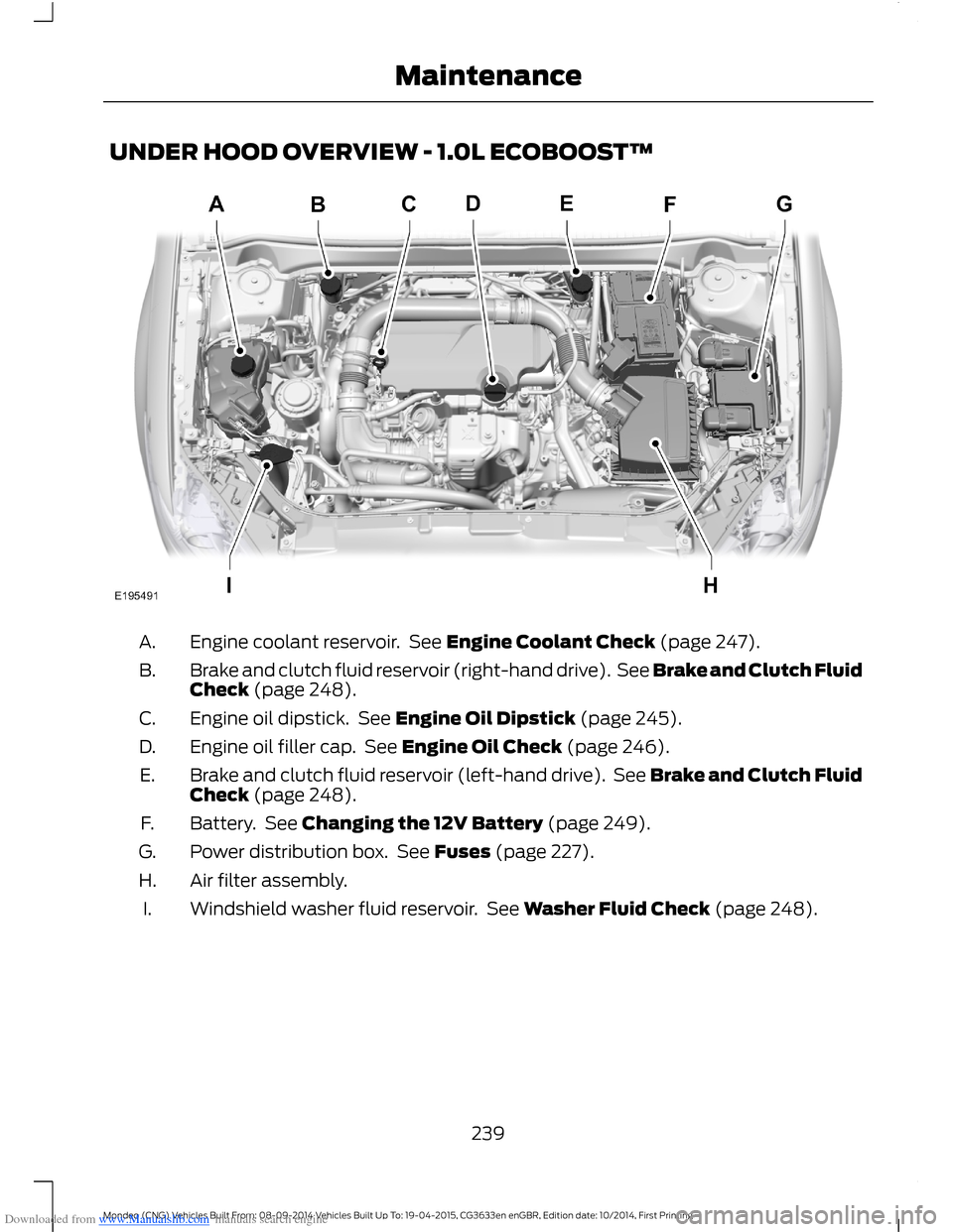 FORD MONDEO 2014 4.G Owners Manual Downloaded from www.Manualslib.com manuals search engine UNDER HOOD OVERVIEW - 1.0L ECOBOOST™
Engine coolant reservoir. See Engine Coolant Check (page 247).A.
Brake and clutch fluid reservoir (right