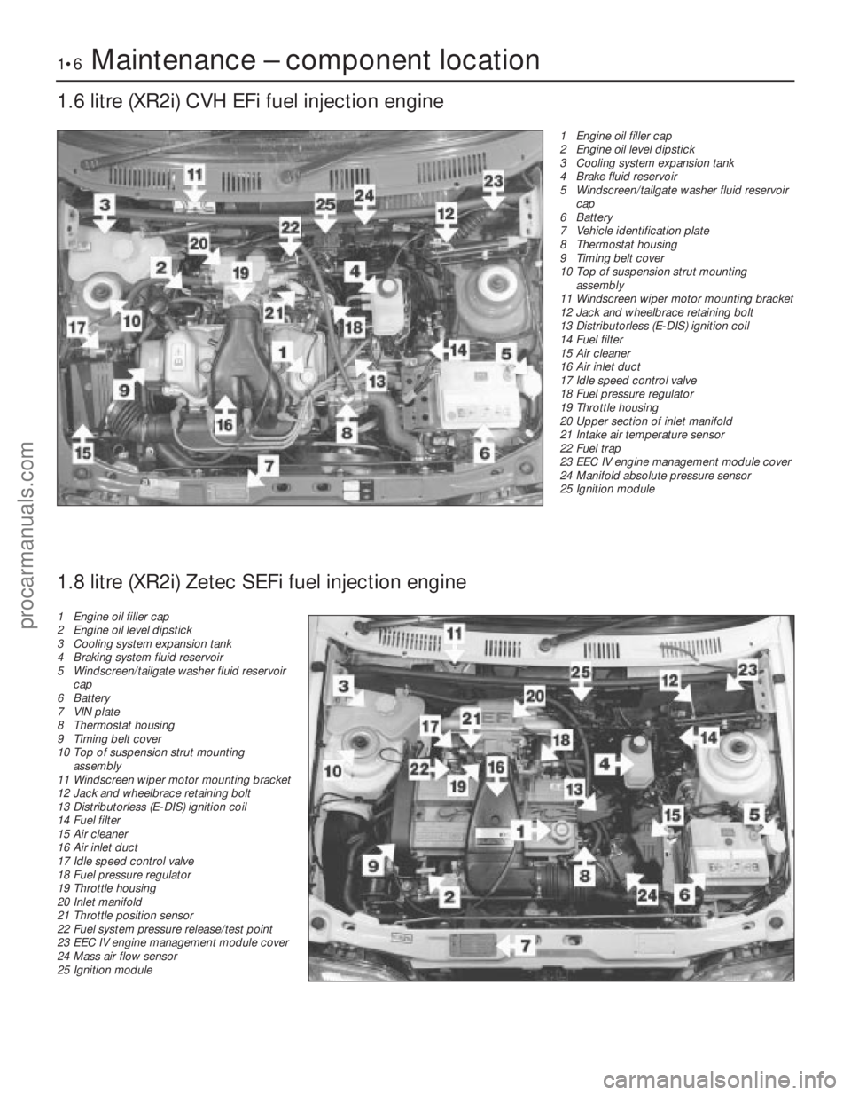 FORD FIESTA 1989  Service Repair Manual 1•6Maintenance – component location
1.6 litre (XR2i) CVH EFi fuel injection engine
1595Ford Fiesta Remake1 Engine oil filler cap
2 Engine oil level dipstick
3 Cooling system expansion tank
4 Brake