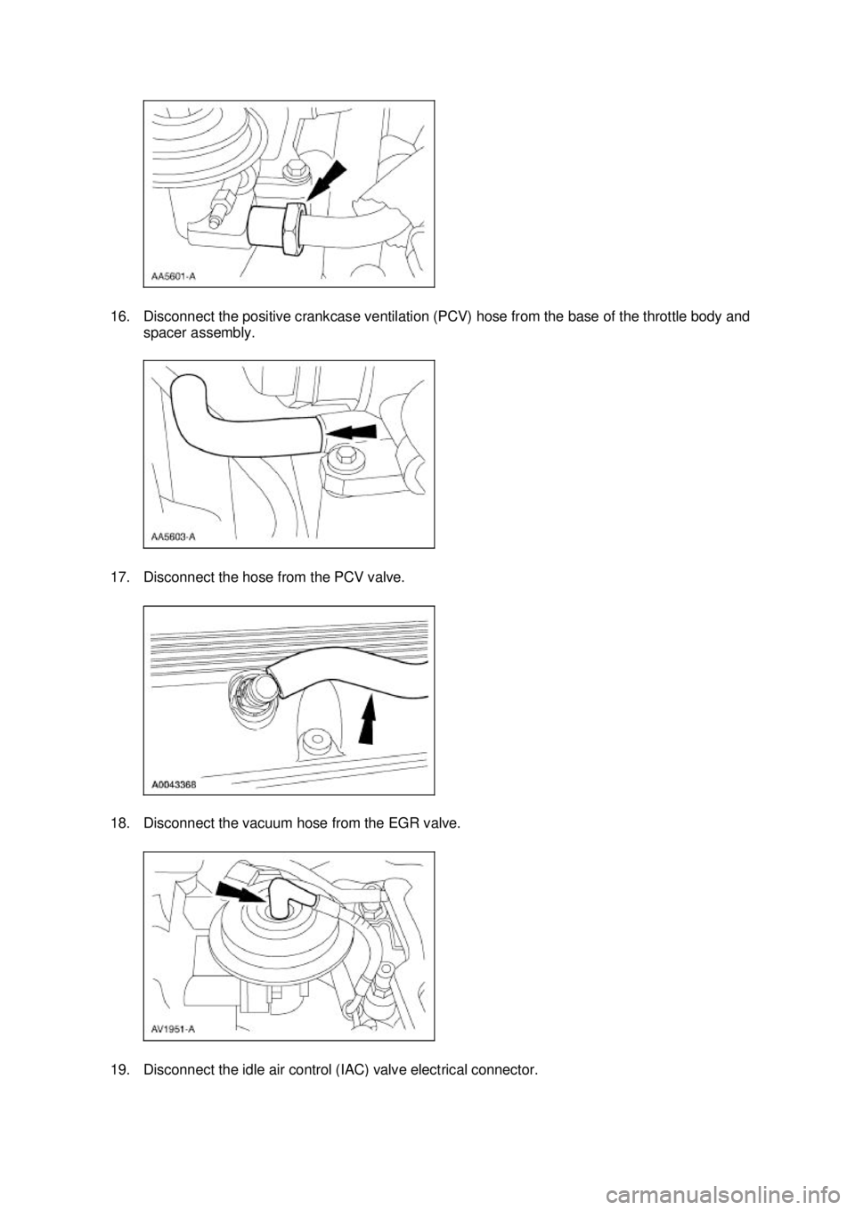 FORD MUSTANG 2003  Workshop Manual 16. Disconnect the positive crankcase ventilation (PCV) hose from the base of the throttle body and 
spacer assembly. 
17. Disconnect the hose from the PCV valve. 
18. Disconnect the vacuum hose from 